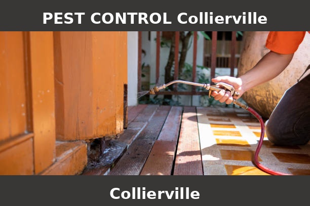 PEST CONTROL Collierville